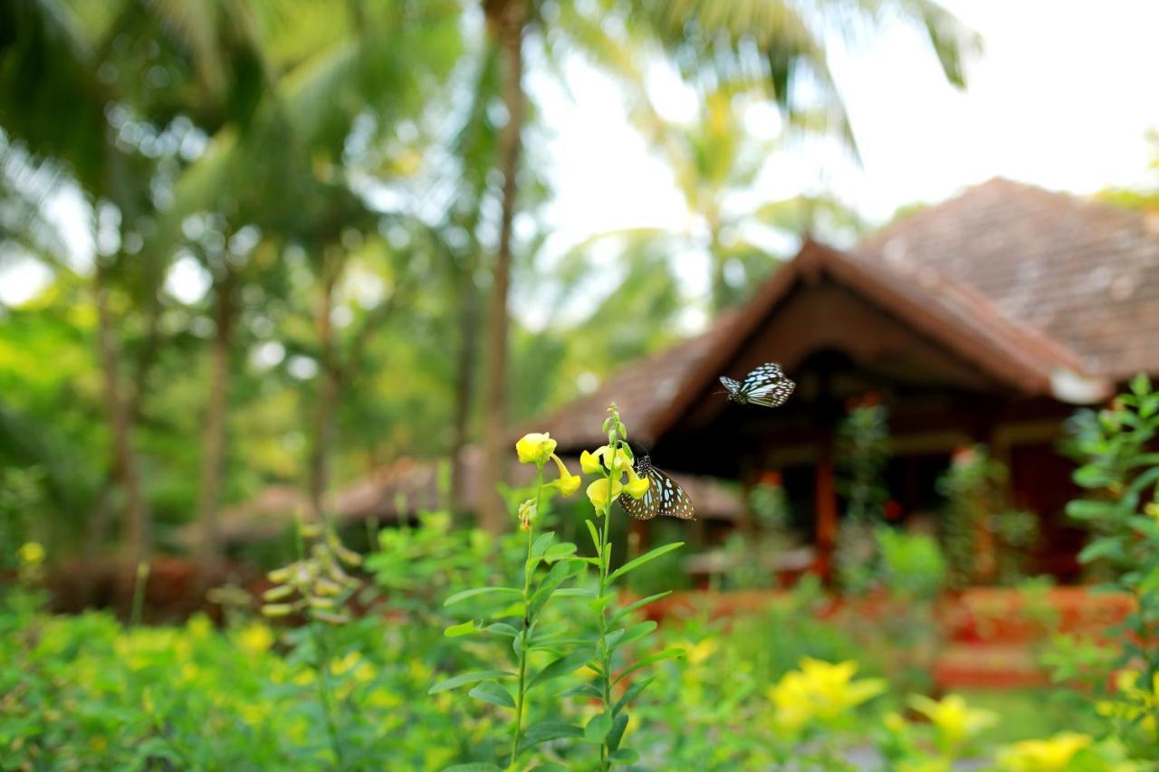 The Nattika Beach Resort Thrissur Esterno foto