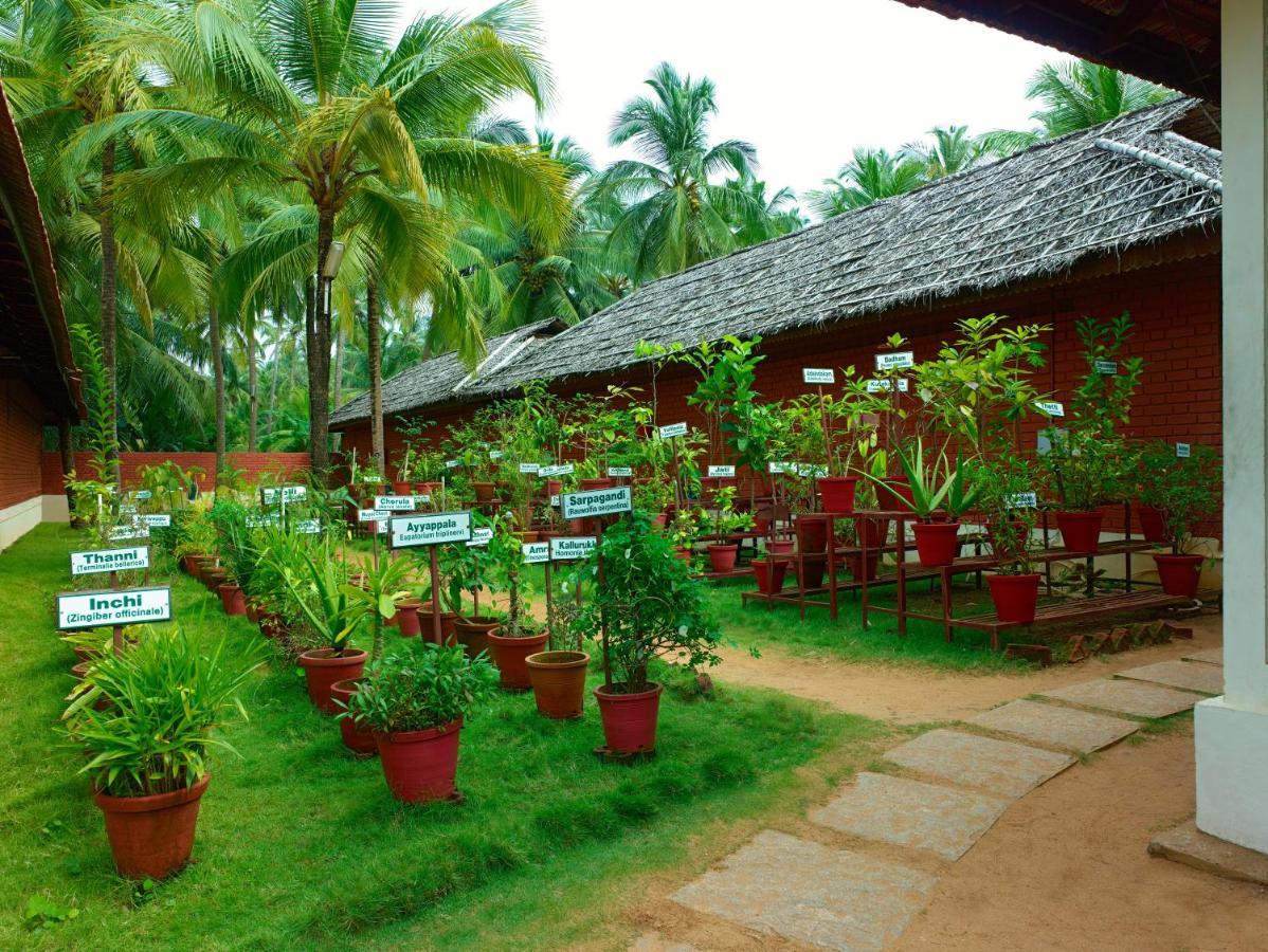 The Nattika Beach Resort Thrissur Esterno foto